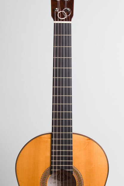 Darren Hippner Barbero pattern Flamenco Guitar (2013)