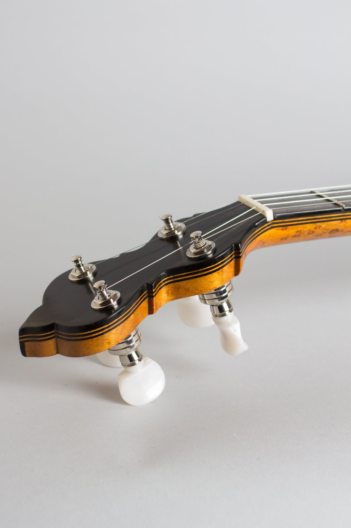 unlabelled Composite 5 String Banjo (1910)