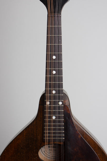 Gibson A-Junior Snakehead Carved Top Mandolin (1925)