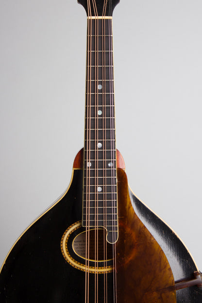 Gibson H-2 Carved Top Mandola (1912)