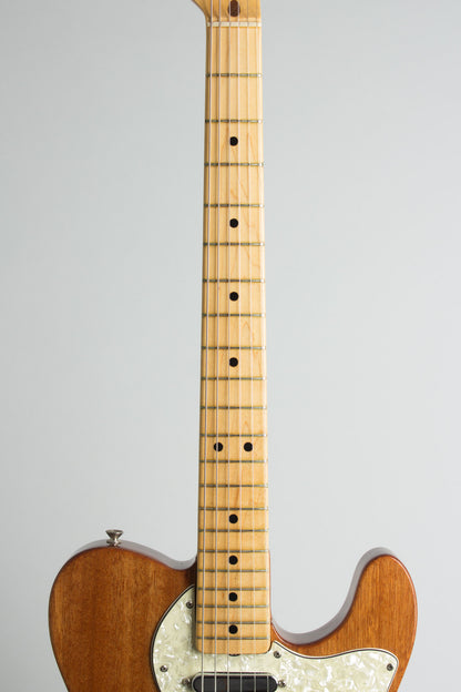 Fender Telecaster Thinline Semi-Hollow Body Electric Guitar (1969)