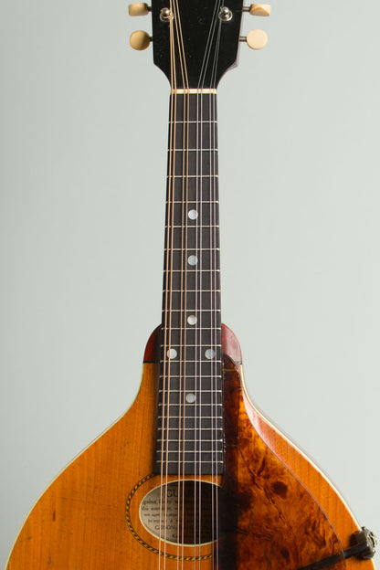 Gibson Style A- Carved Top Mandolin (1913)