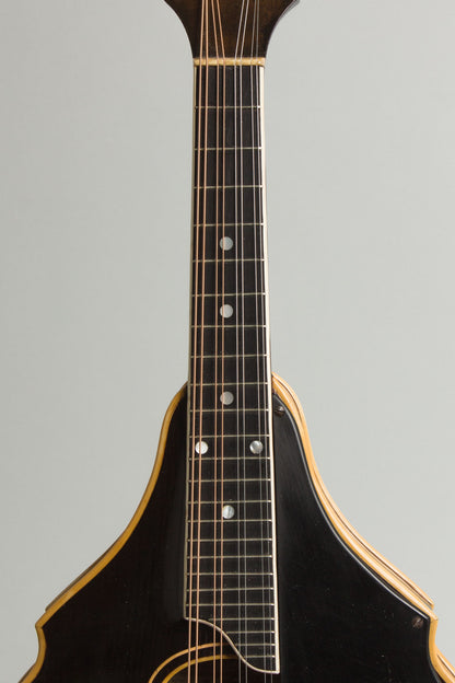 Bacon William Place Jr. Artist Model Carved Top Mandolin (1921)