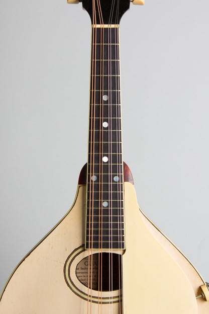 Gibson Model A-3 Carved Top Mandolin (1919)