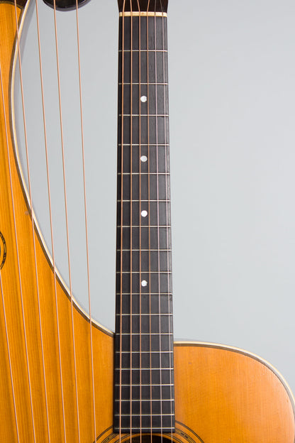 Larson Brothers Dyer Symphony Style 5 Harp Guitar (1914)