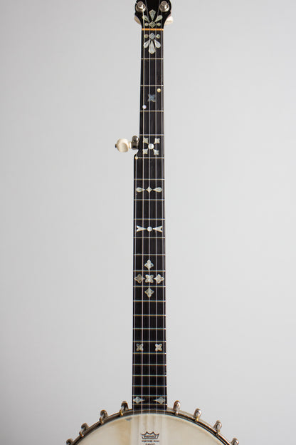 Fairbanks Special Electric 5 String Banjo (1898)