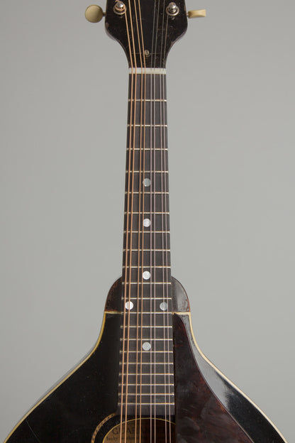 Gibson Style A Snakehead Carved Top Mandolin (1925)