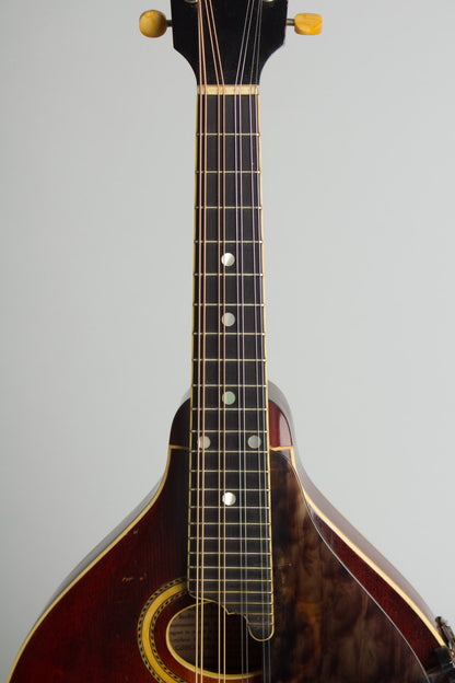 Gibson A-4 Carved Top Mandolin (1918)