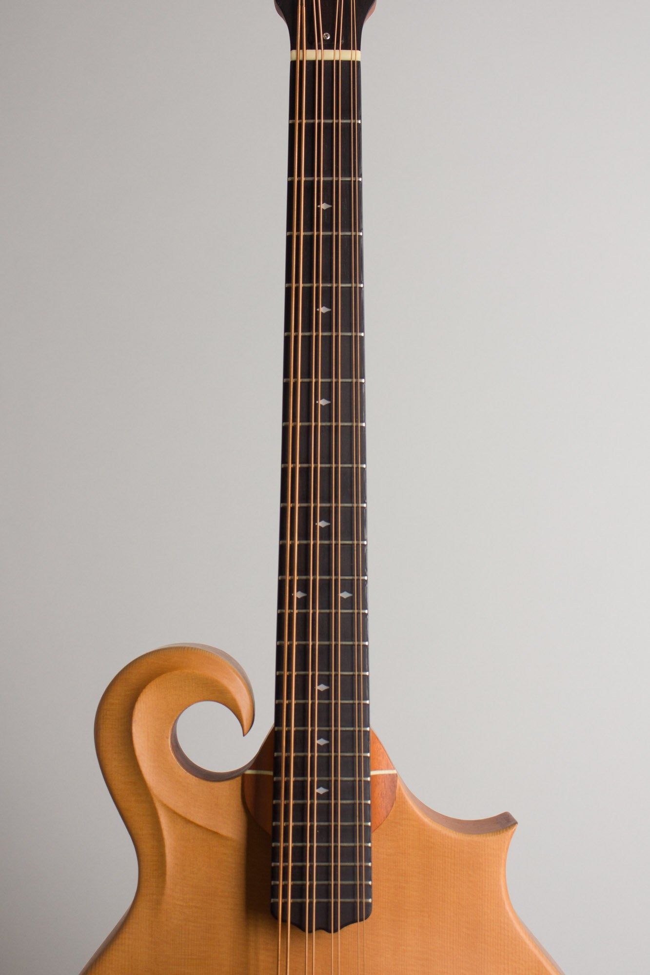 Weber Gallatin Carved Top Mandocello (2003)