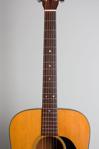 C. F. Martin D-18 Flat Top Acoustic Guitar (1967)
