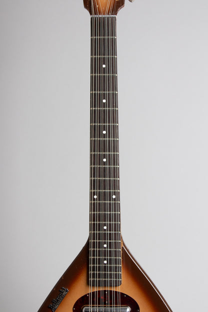 Danelectro Bellzouki Model 7010 12 String Semi-Hollow Body Electric Guitar (1965)