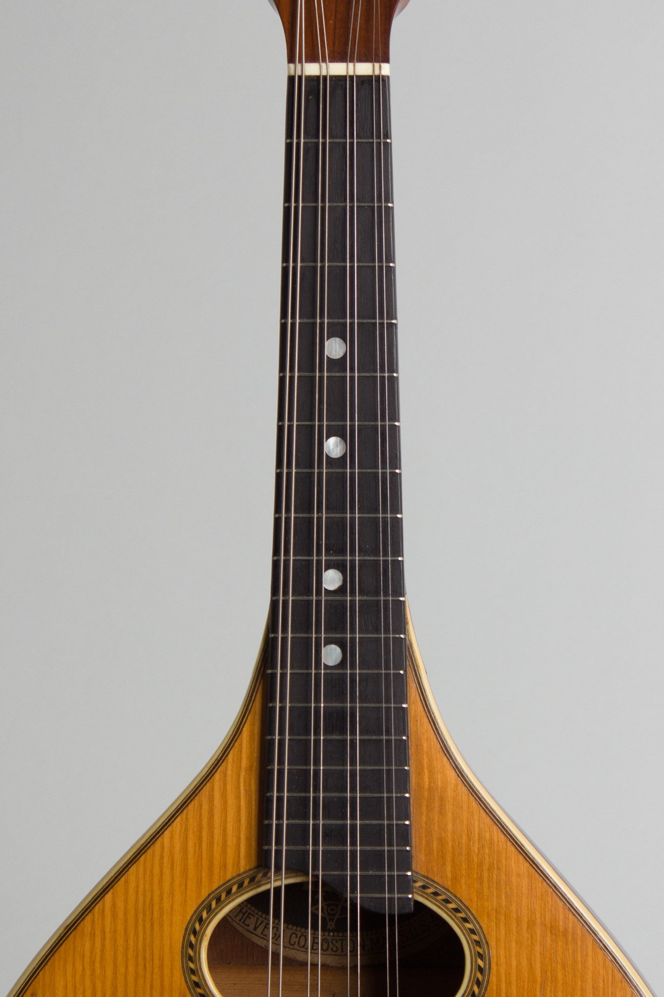 Vega Style 201 Flat Back, Bent Top Mandolin (1916)
