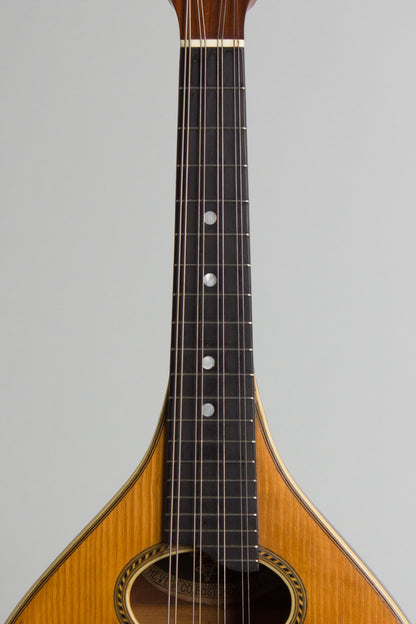 Vega Style 201 Flat Back, Bent Top Mandolin (1916)