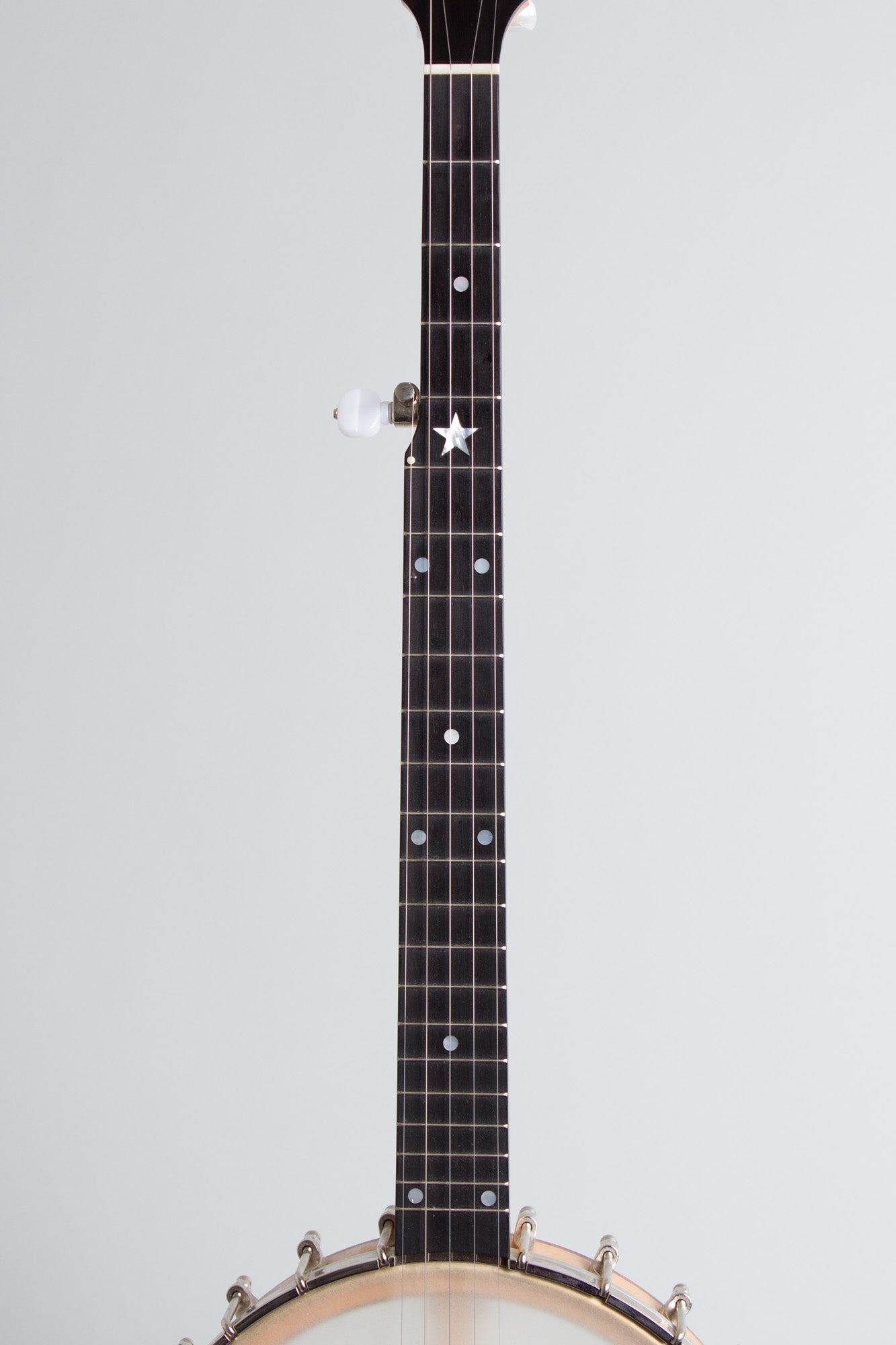 Bart Reiter Special 5 String Banjo (2017)