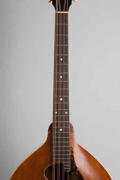Gibson K-1 Carved Top Mandocello (1916)