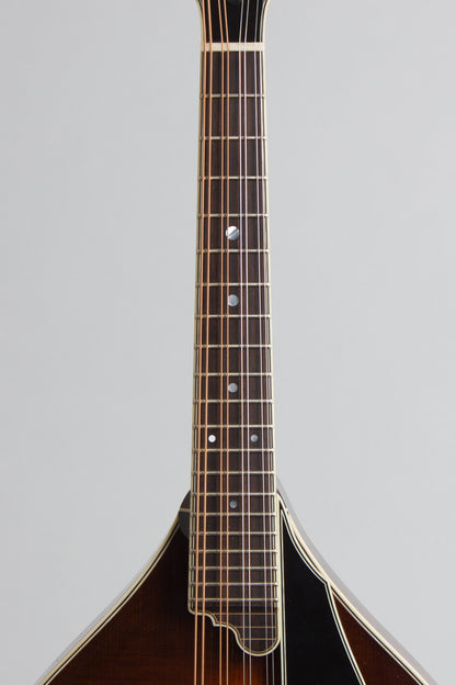 Northfield NFMSP-A5 Carved Top Mandolin (2025)