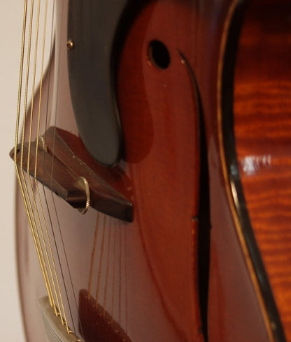 Wilkanowski Arch Top Acoustic Guitar (1937)