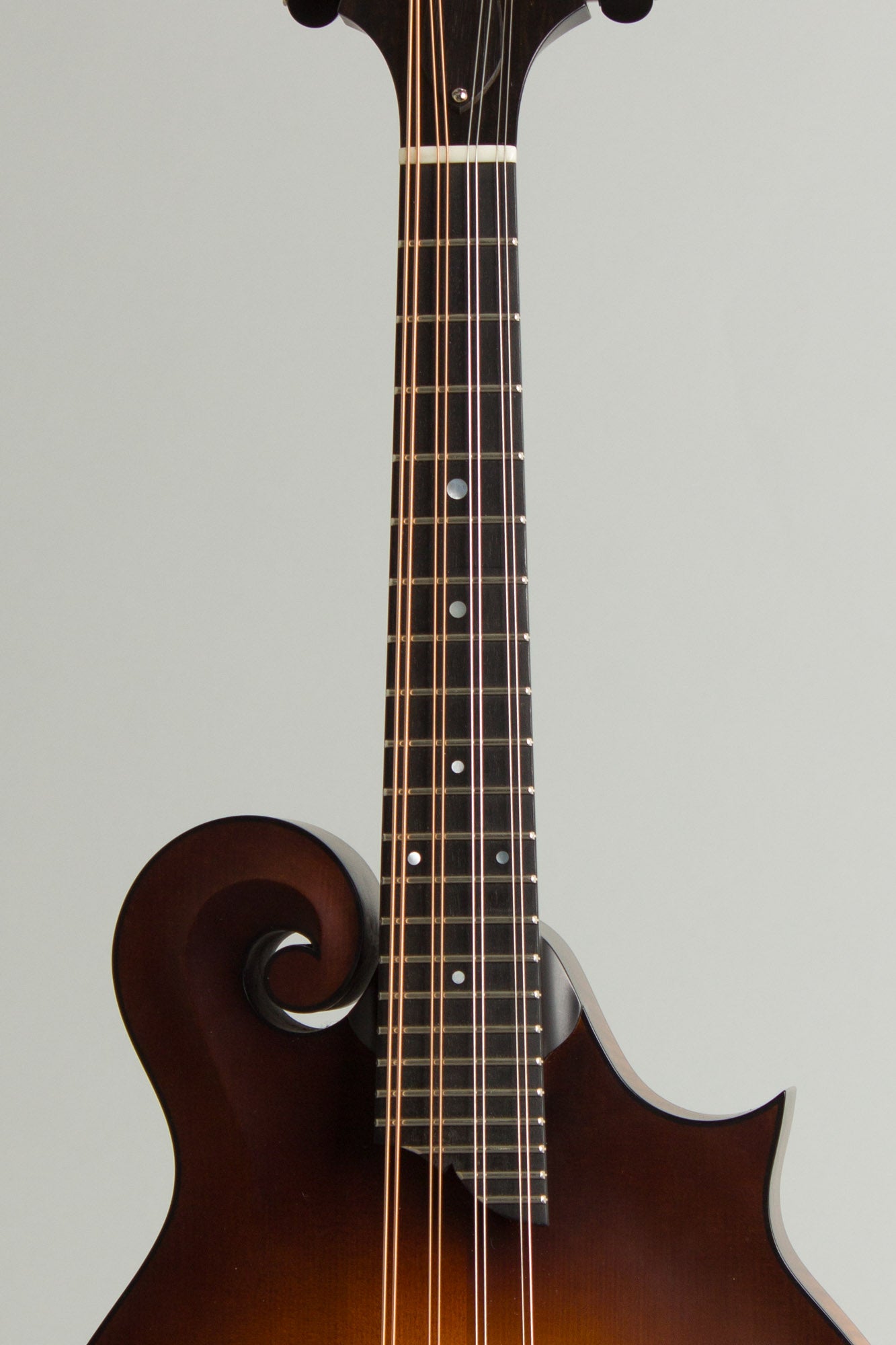 Collings MF Carved Top Mandolin (2025)