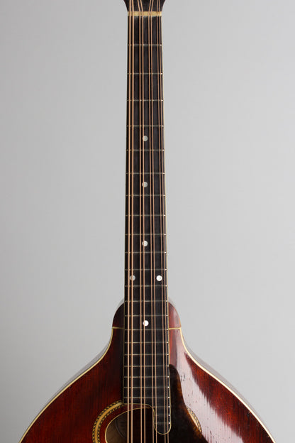 Gibson K-2 Carved Top Mandocello (1912)