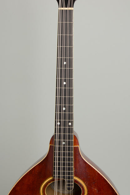 Gibson K-2 Carved Top Mandocello (1914)