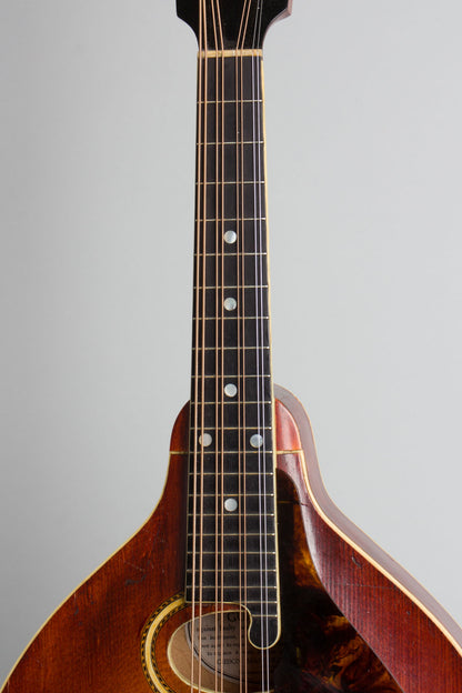 Gibson H-2 Carved Top Mandola (1914)