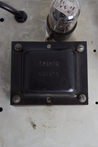 Fender Princeton 6G2 Tube Amplifier (1962)