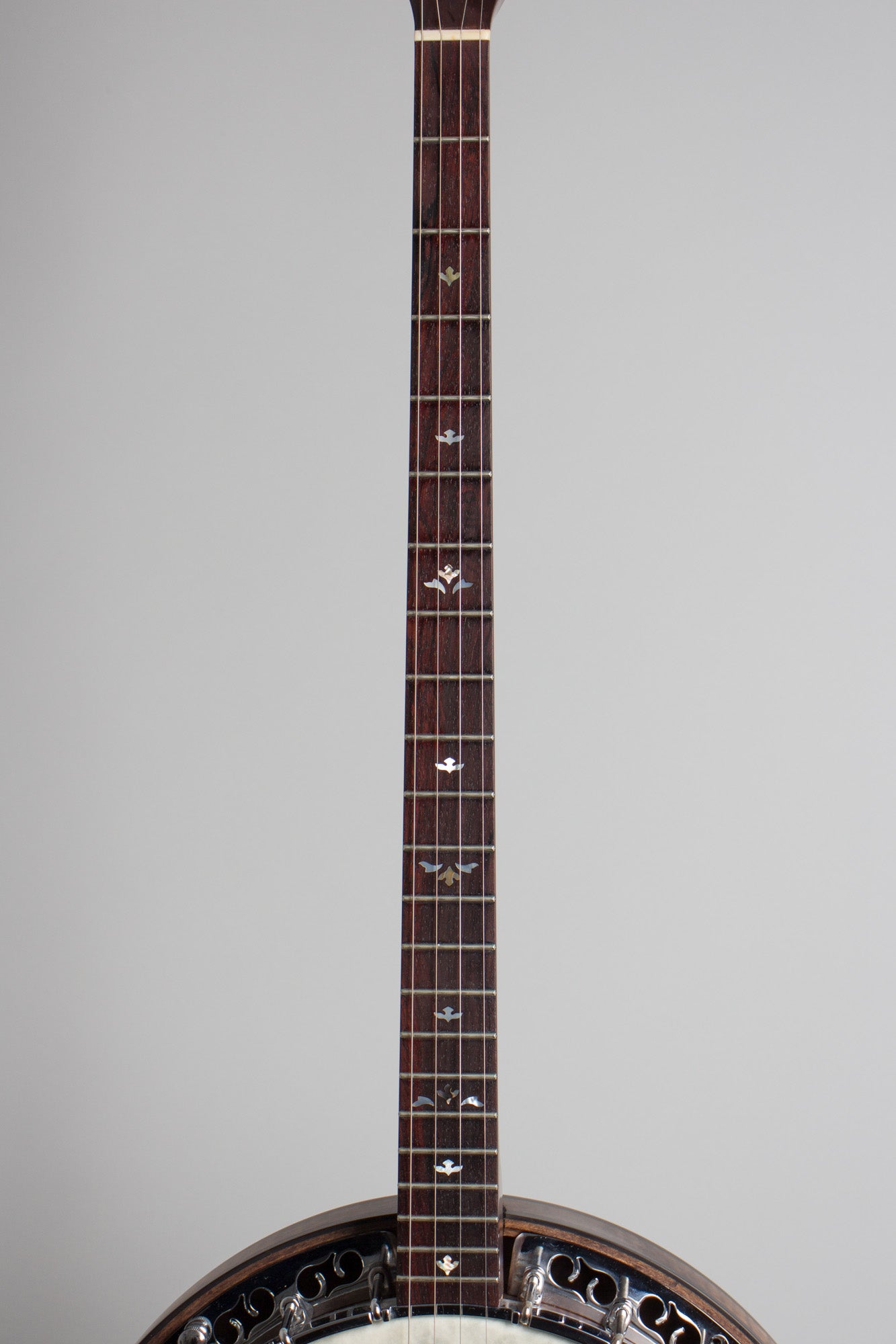 Ome Plectrum Banjo (2005)