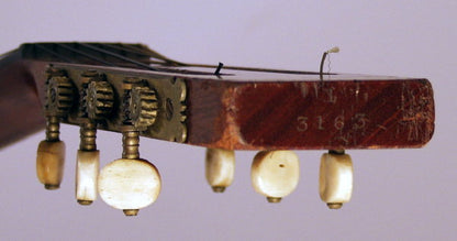 Wm. B. Tilton/John C. Haynes Style # 1 Flat Top Acoustic Guitar (1870)