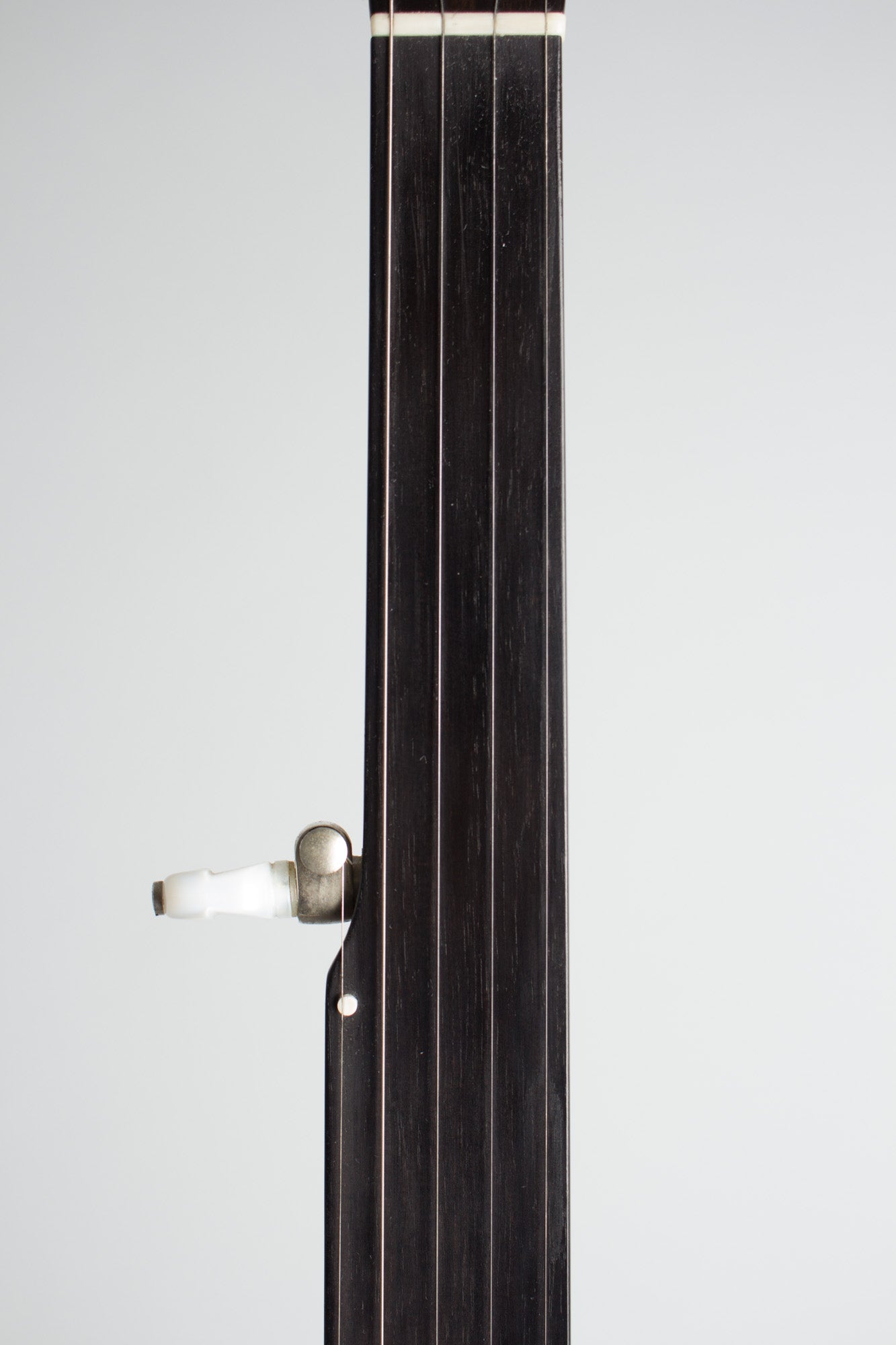 Bart Reiter Standard Fretless 5 String Banjo (2000)