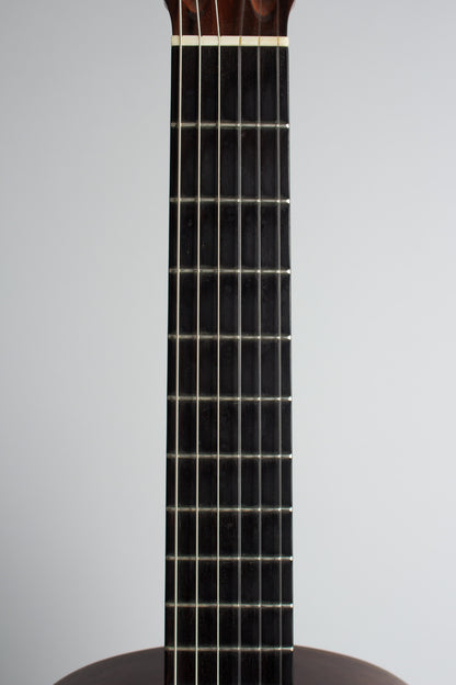 Nicholas P. Ioannou Classical Guitar (1992)