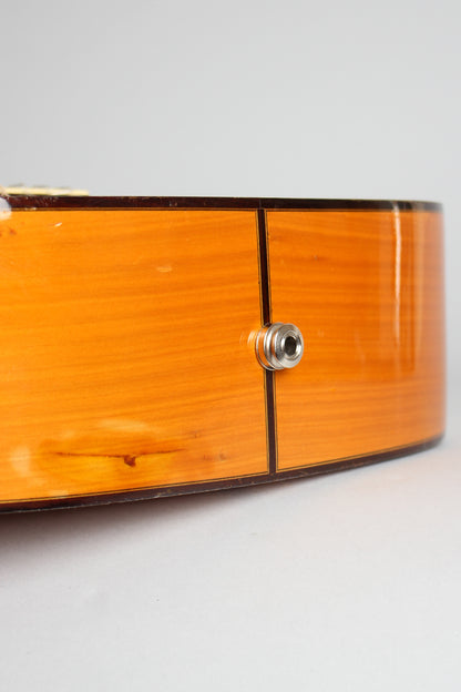 Manuel Raimundo Model 145F Flamenco Guitar (1990)