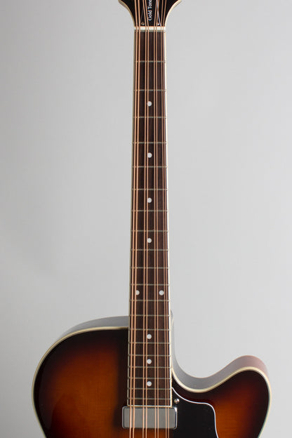 Gold Tone Arch top Mandocello (2022)