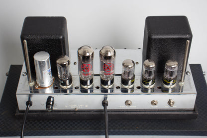 Ampeg B-15N Portaflex, * LOCAL PICKUP ONLY Tube Bass Amplifier (1967)