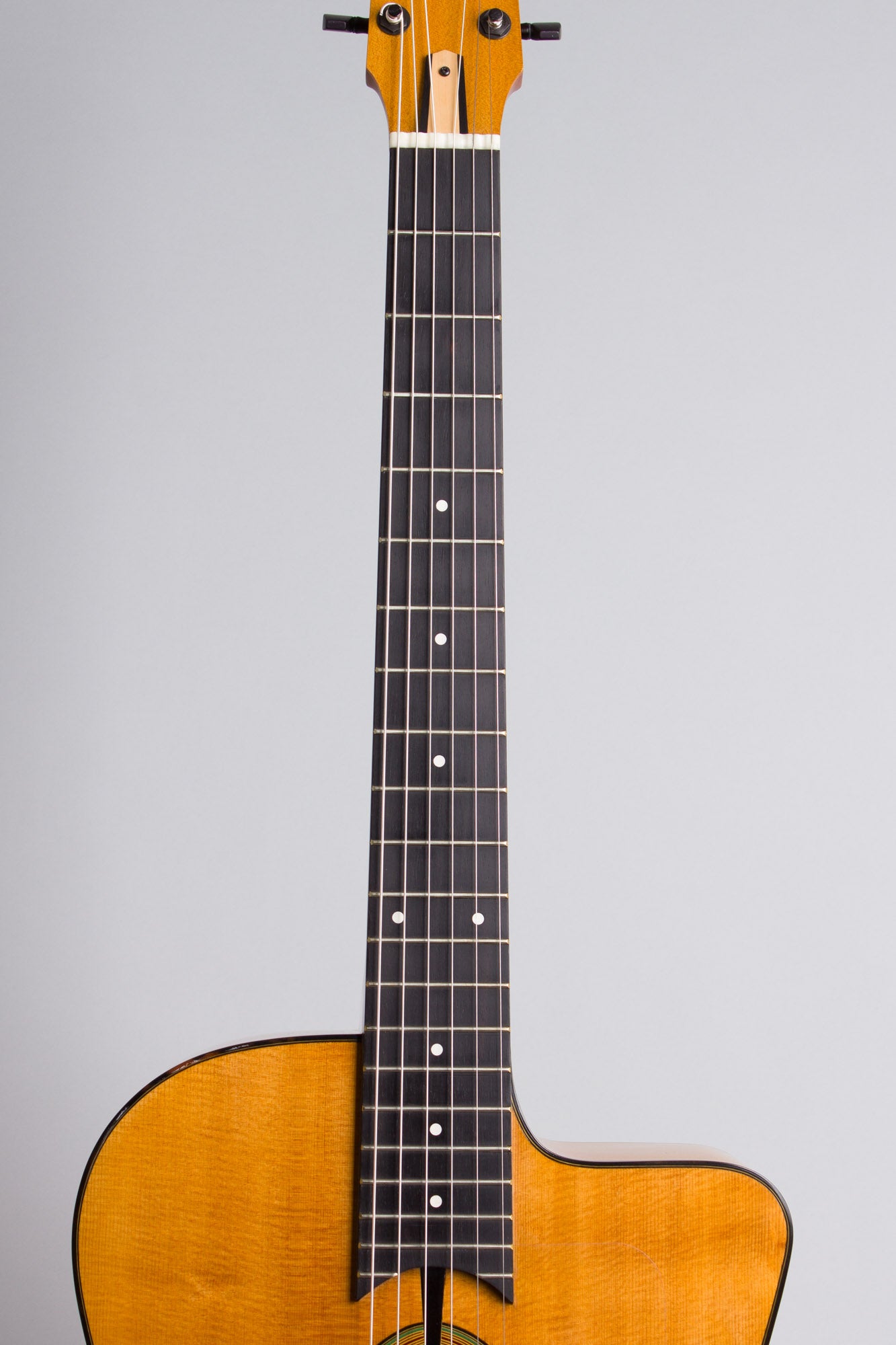 Michael Dunn Fleche D'Or Gypsy Jazz Guitar (2005)