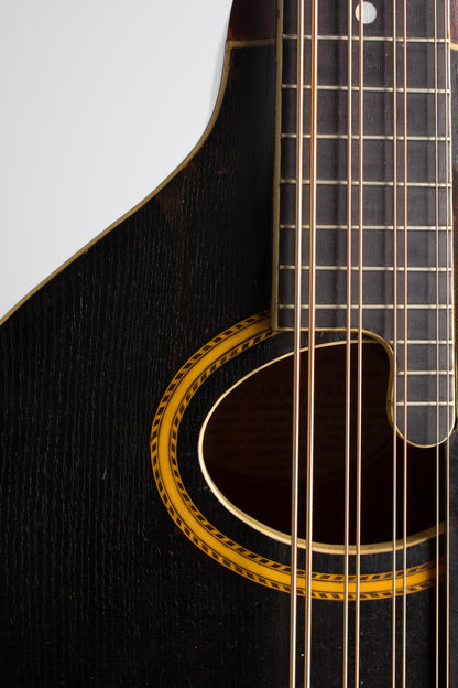 Gibson K-2 Carved Top Mandocello (1911)