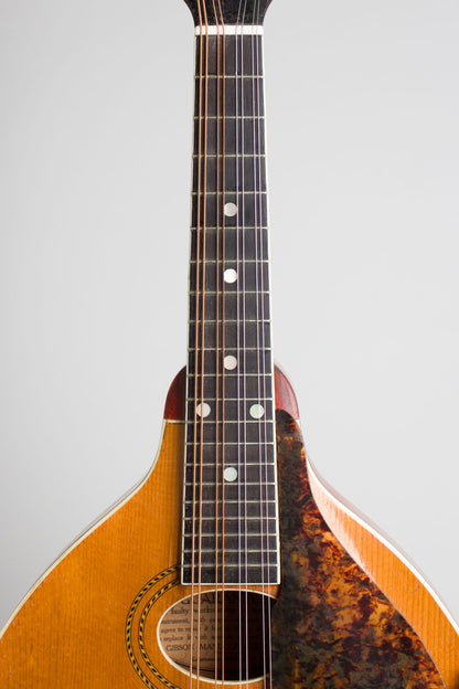 Gibson A-3 Carved Top Mandolin (1914)