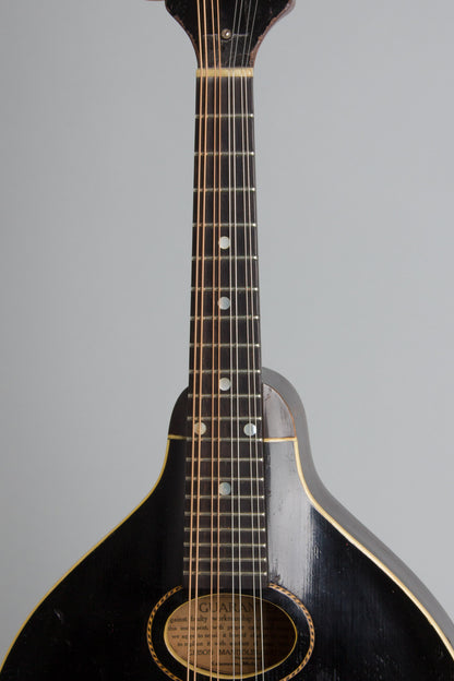 Gibson Style A-1 Snakehead Carved Top Mandolin (1925)