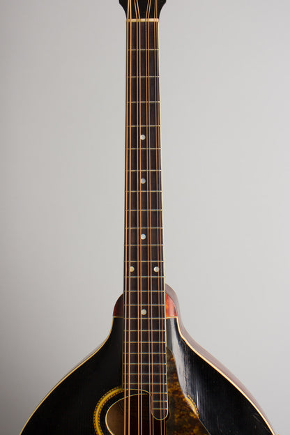 Gibson K-2 Carved Top Mandocello (1913)