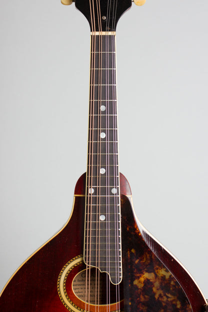 Gibson Model A-4 Snakehead Carved Top Mandolin (1923)