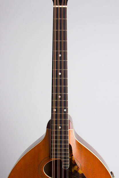 Gibson K-1 Carved Top Mandocello (1914)
