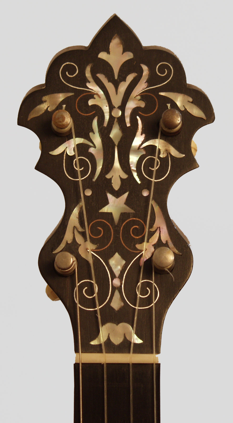 S. S. Stewart Special Thoroughbred 5 String Banjo (1898)