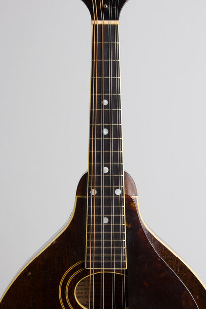 Gibson A-2 Snakehead Carved Top Mandolin (1923)