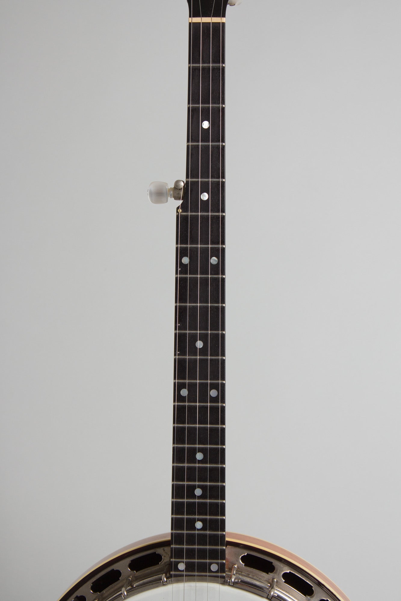 Goose Acres Bluegrass Model 5 String Resonator Banjo (1996)
