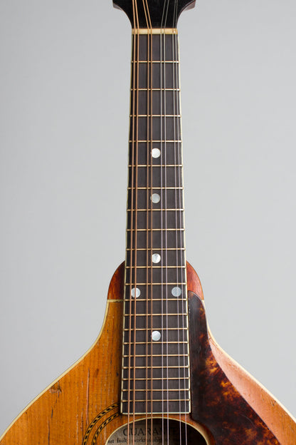 Gibson A-3 Carved Top Mandolin (1914)