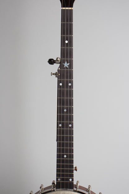 Bart Reiter Dobaphone Custom 5 String Banjo (2014)