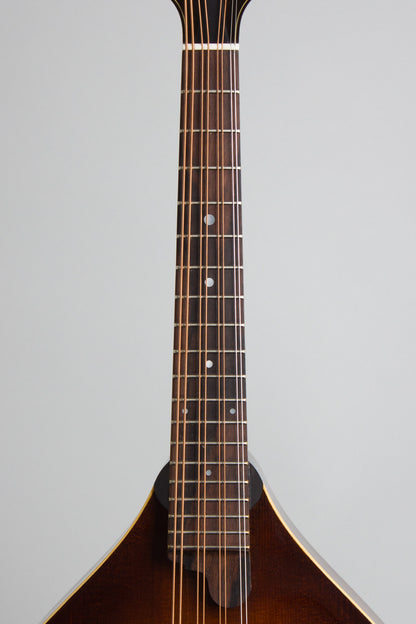 Northfield NFM-M5 Carved Top Mandola (2025)