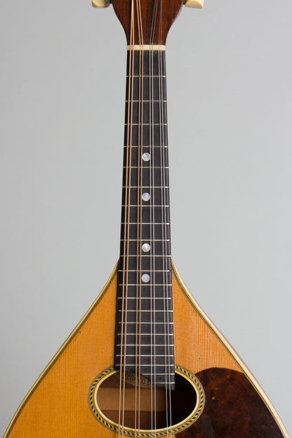 Vega Model 201 Flat Back, Bent Top Mandolin (1930)