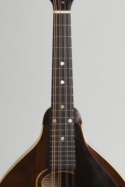 Gibson Style A Snakehead Carved Top Mandolin (1923)