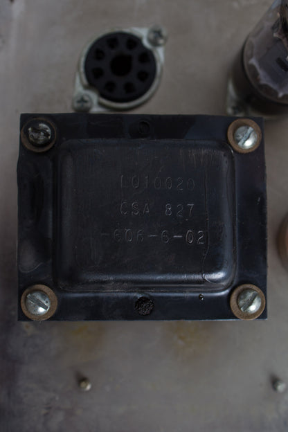 Fender Princeton Reverb Tube Amplifier (1966)