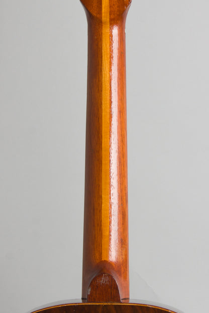 Del Vecchio Dinamico Electric Resophonic Guitar (1970)